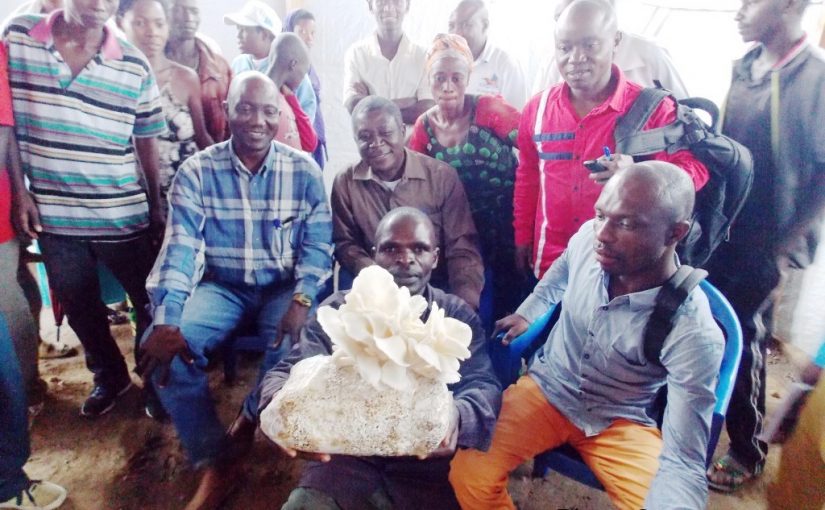 Bulletin  ONGEA-INTERNEWS-08.10.2018