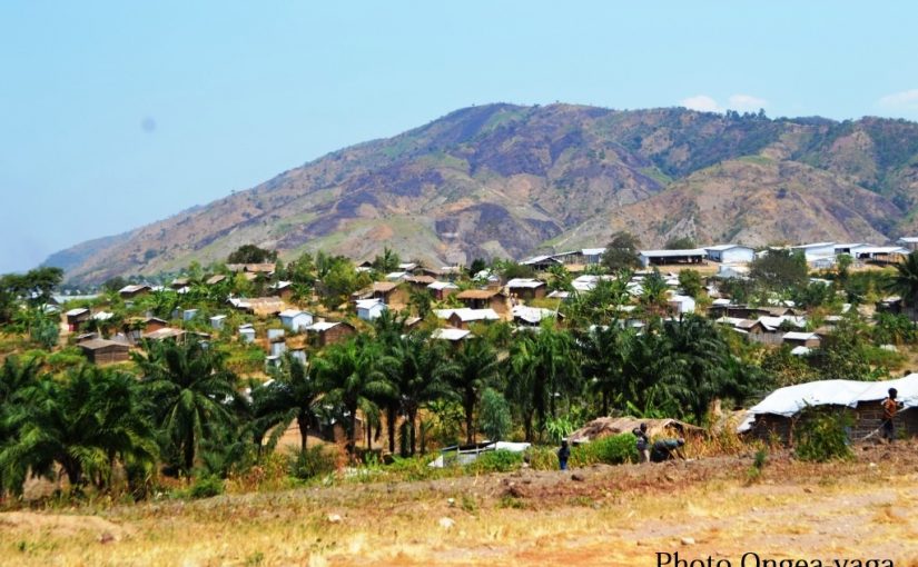 Bulletin  ONGEA-INTERNEWS-08.10.2018