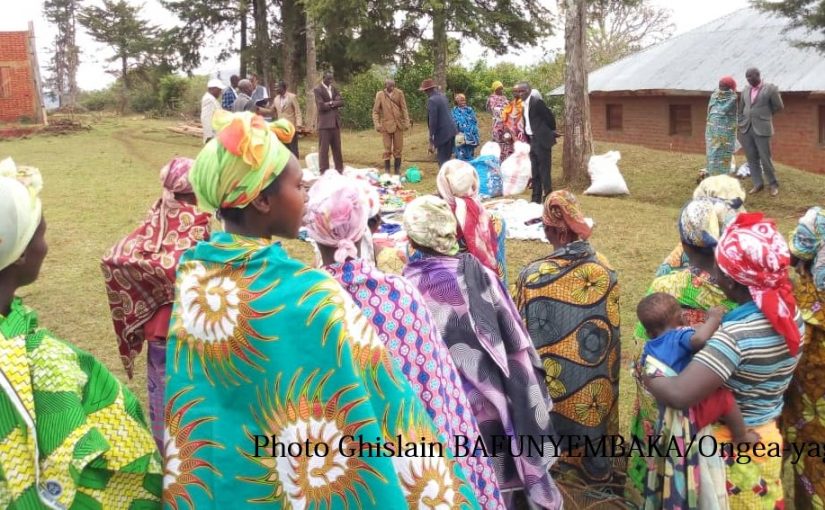 Bulletin  ONGEA-INTERNEWS-16.10.2018