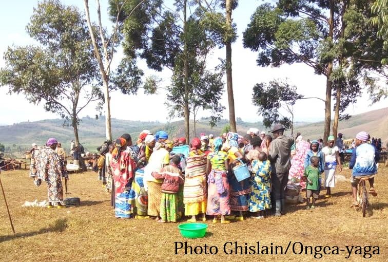 Bulletin  ONGEA-INTERNEWS-26.10.2018