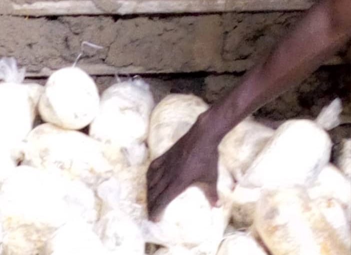 Bulletin  ONGEA-INTERNEWS-12.10.2018