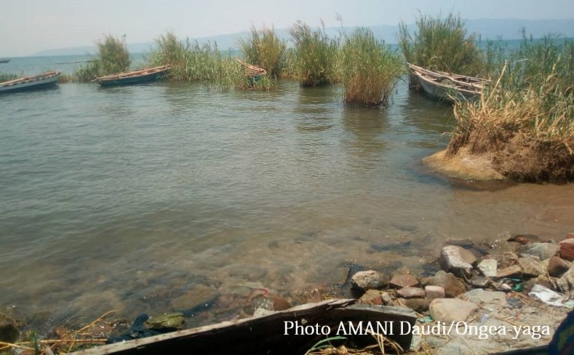 Bulletin  ONGEA-INTERNEWS-23.10.2018