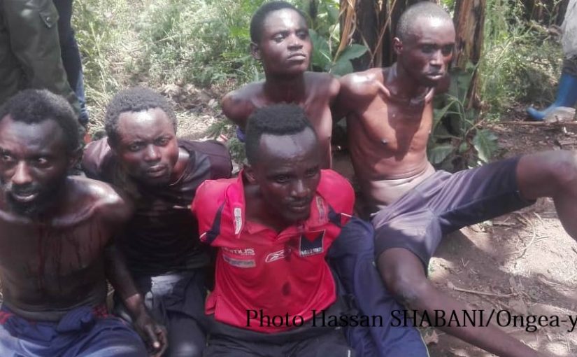 Bulletin  ONGEA-INTERNEWS-23.10.2018