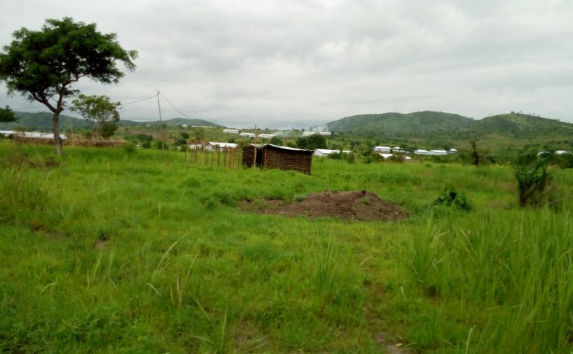 Bulletin  ONGEA-INTERNEWS-26.10.2018