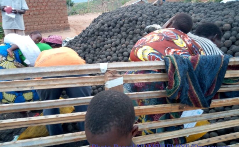 Bulletin  ONGEA-INTERNEWS-07.11.2018