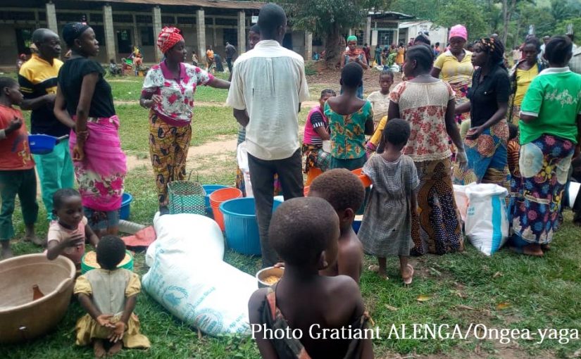 Bulletin  ONGEA-INTERNEWS-13.11.2018