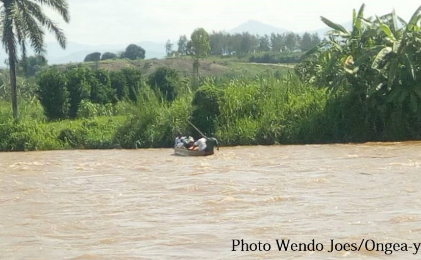 Bulletin  ONGEA-INTERNEWS-15.11.2018