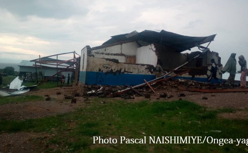 Bulletin  ONGEA-INTERNEWS-19.11.2018