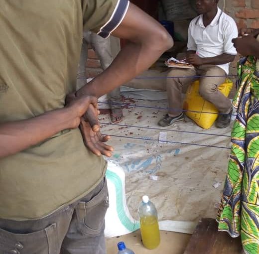 Bulletin  ONGEA-INTERNEWS-23.11.2018