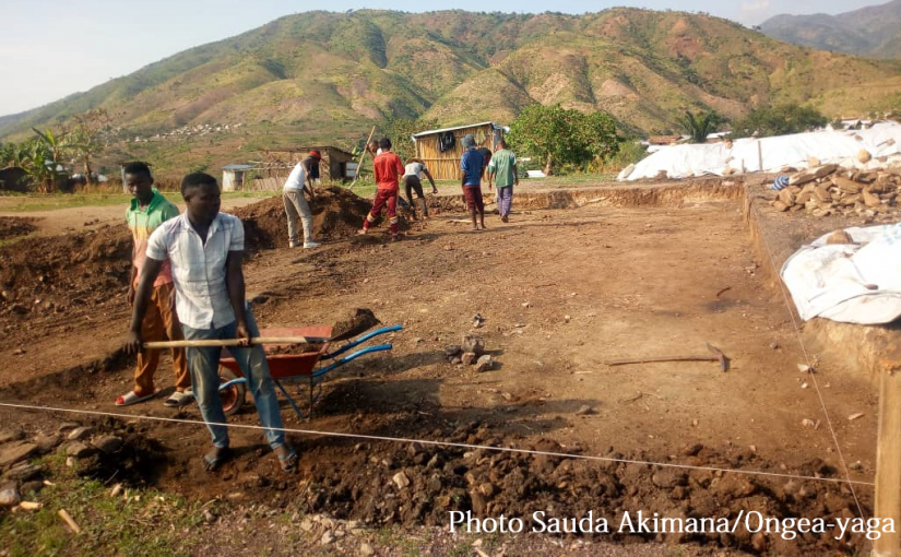 Bulletin  ONGEA-INTERNEWS-05.11.2018