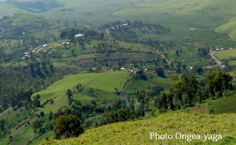 Bulletin  ONGEA-INTERNEWS-05.12.2018