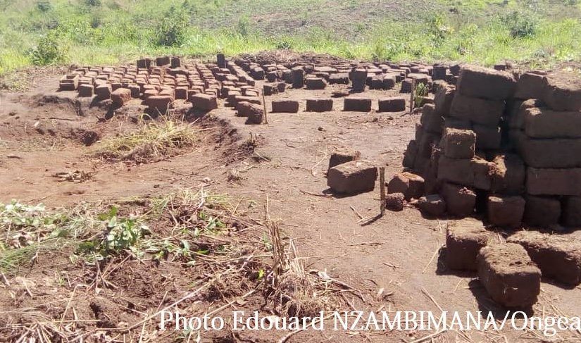 Bulletin  ONGEA-INTERNEWS-04.12.2018