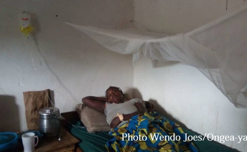 Bulletin  ONGEA-INTERNEWS-06.12.2018