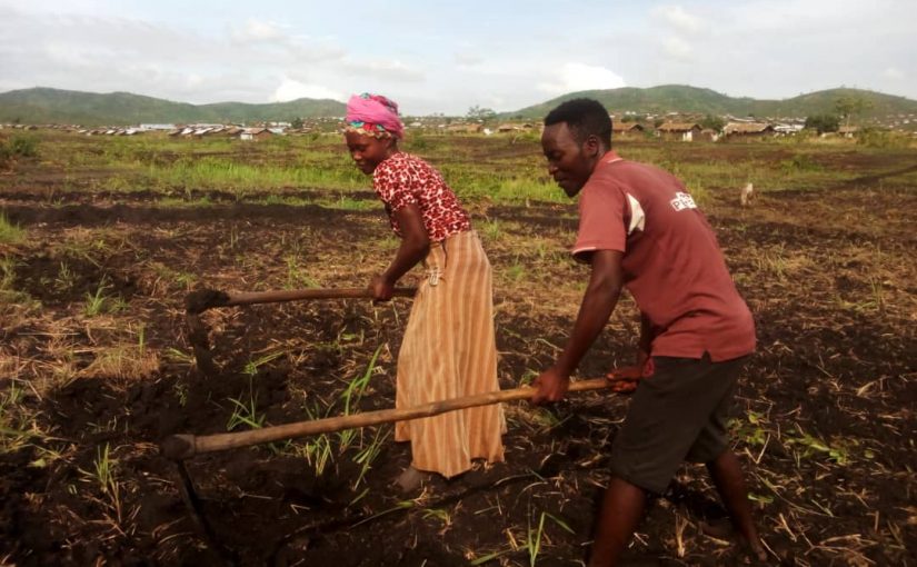 Bulletin ONGEA_BONANA_21_12_2018