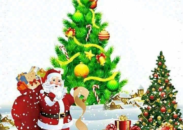 Spécial Bulletin ONGEA_25.12.2018