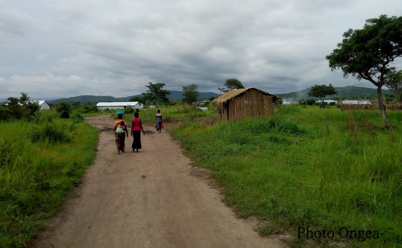 Bulletin  ONGEA-INTERNEWS-24.01.2019