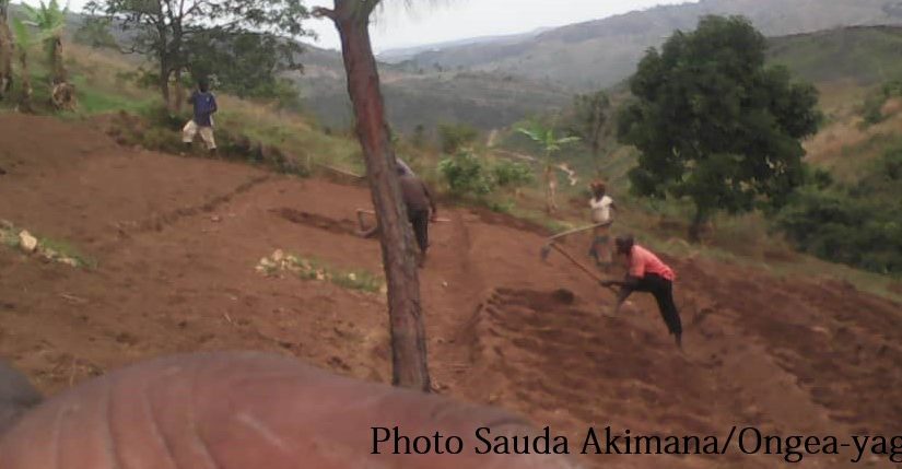 Bulletin  ONBulletin  ONGEA-INTERNEWS-18.01.2019