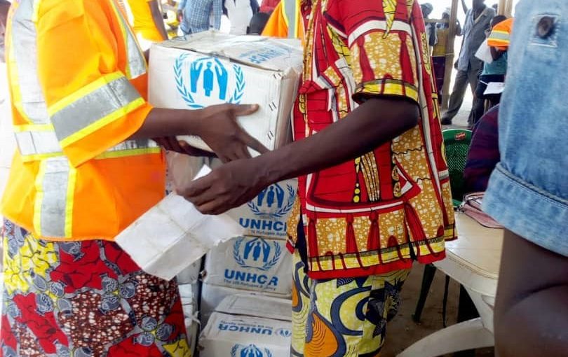 Bulletin  ONGEA-INTERNEWS- 09.01.2019