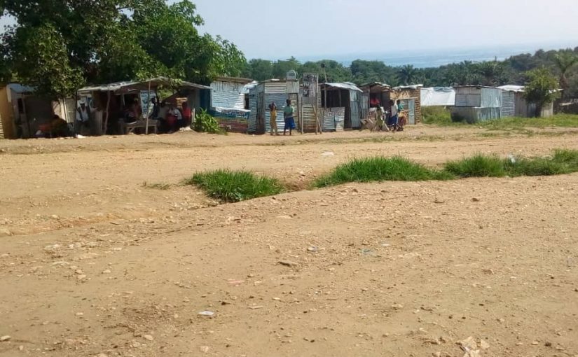 Bulletin  ONGEA-INTERNEWS- 10.01.2019