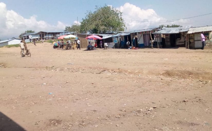 Bulletin  ONGEA-INTERNEWS- 10.01.2019