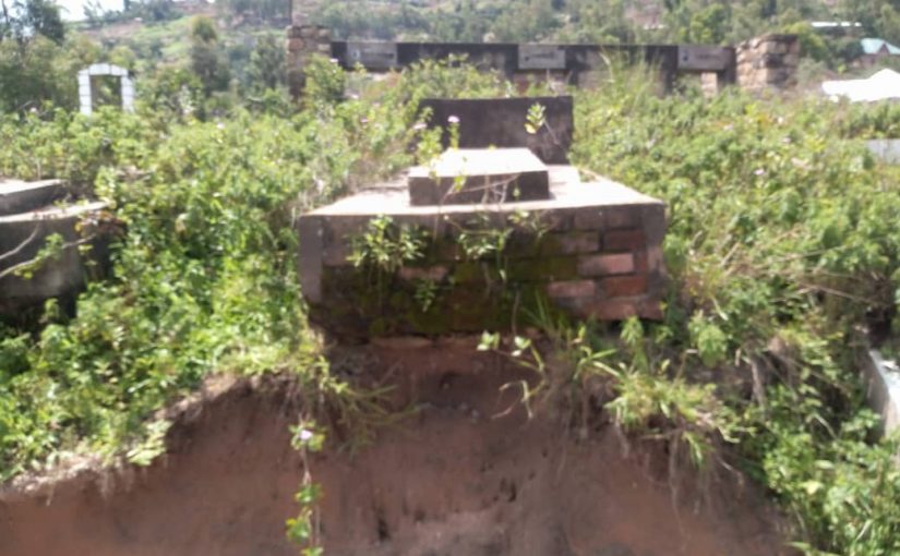 Bulletin  ONGEA-INTERNEWS-22.01.2019