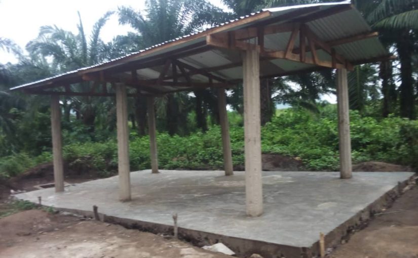 Bulletin  ONGEA-INTERNEWS-23.01.2019