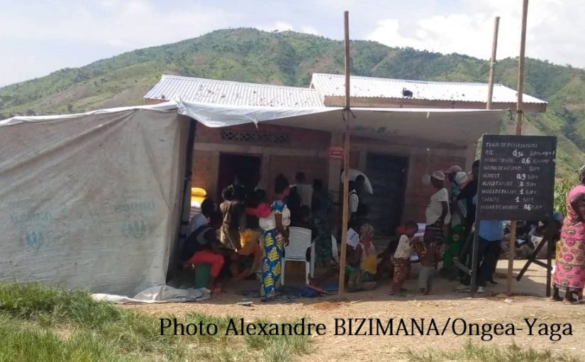 Bulletin  ONGEA-INTERNEWS-28.01.2019