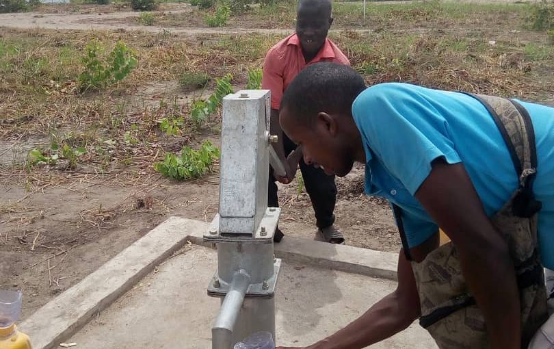 Bulletin  ONGEA-INTERNEWS-30.01.2019