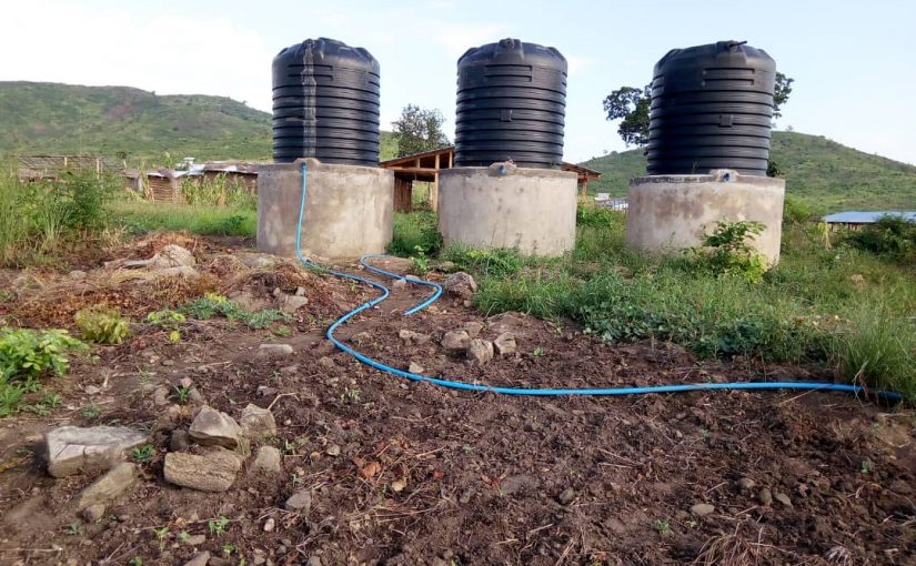 Bulletin  ONGEA-INTERNEWS-22.02.2019