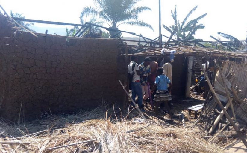 Bulletin  ONGEA-INTERNEWS-31.01.2019