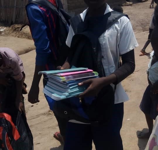 Bulletin  ONGEA-INTERNEWS-31.01.2019