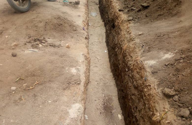 Bulletin  ONGEA-INTERNEWS-01.02.2019