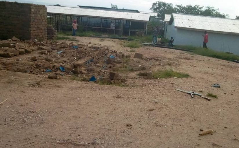 Bulletin  ONGEA-INTERNEWS-12.02.2019