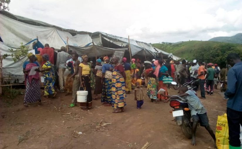 Bulletin  ONGEA-INTERNEWS-04.02.2019