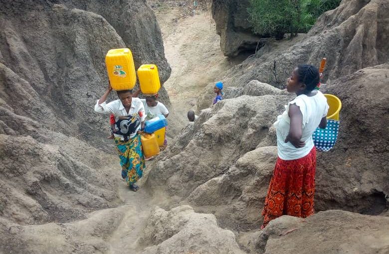 Bulletin  ONGEA-INTERNEWS-05.02.2019