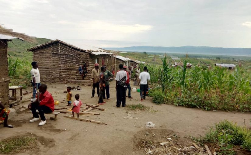 Bulletin  ONGEA-INTERNEWS-06.02.2019