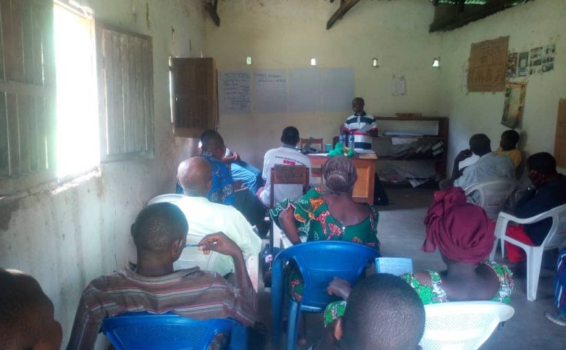 Bulletin  ONGEA-INTERNEWS-13.02.2019