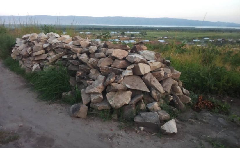 Bulletin  ONGEA-INTERNEWS-13.02.2019