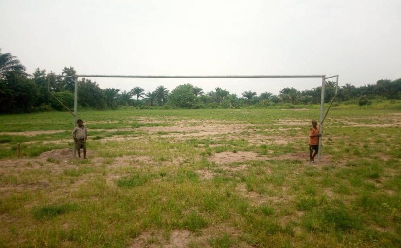 Bulletin  ONGEA-INTERNEWS-20.02.2019