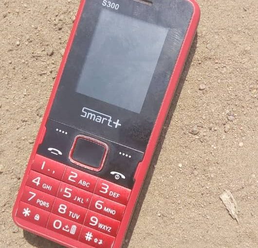 Bulletin  ONGEA-INTERNEWS-21.02.2019