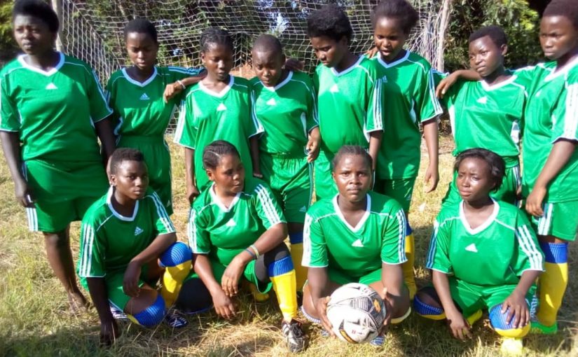 Bulletin  ONGEA-INTERNEWS-11.03.2019