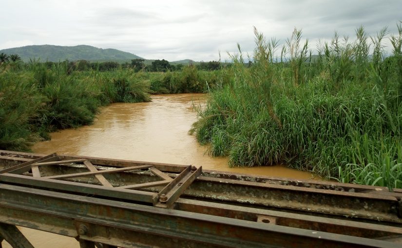 Bulletin  ONGEA-INTERNEWS-05.03.2019