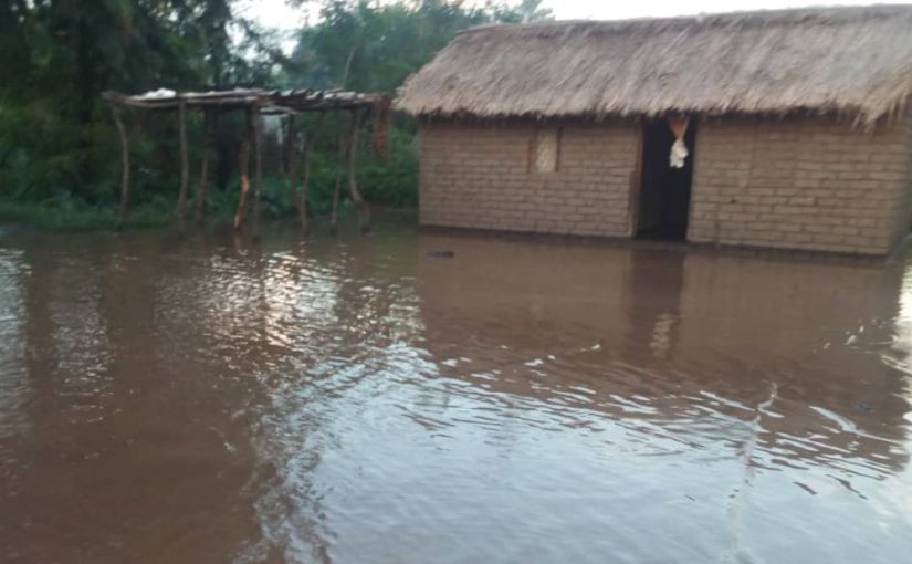 Bulletin  ONGEA-INTERNEWS-26.03.2019