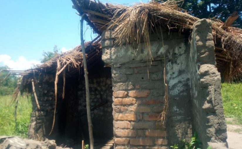 Bulletin  ONGEA-INTERNEWS-19.03.2019