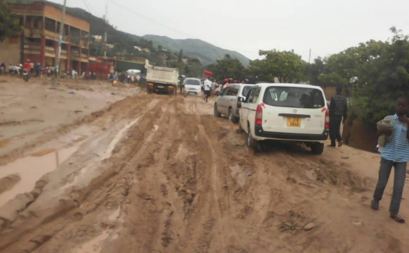 Bulletin  ONGEA-INTERNEWS-04.03.2019