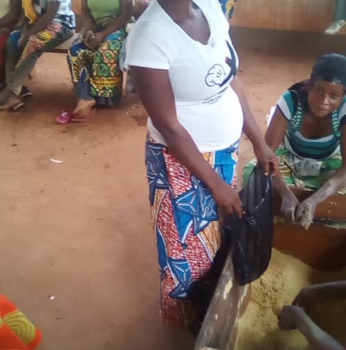 Bulletin  ONGEA-INTERNEWS-07.03.2019