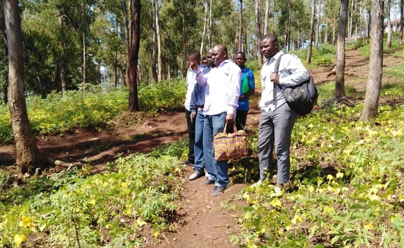 Bulletin  ONGEA-INTERNEWS-25.04.2019