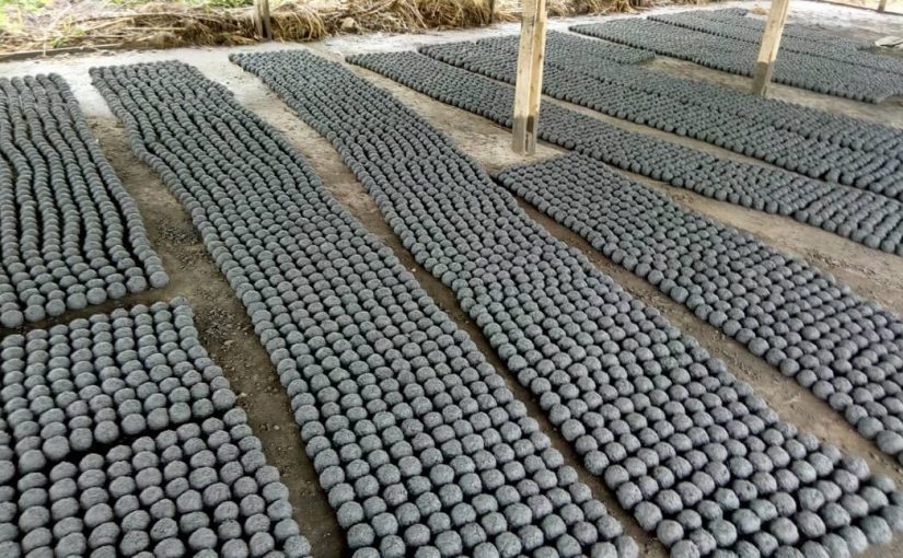 Bulletin  ONGEA-INTERNEWS-02.04.2019