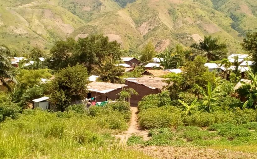 Bulletin  ONGEA-INTERNEWS-03.04.2019