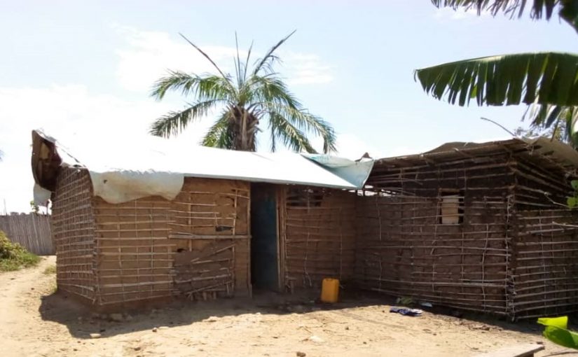 Bulletin  ONGEA-INTERNEWS-03.04.2019